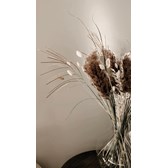 Huntonit proff vegg med Jotun Kalkmaling hos Caroline Holm_02