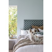 Huntonit Proff Vegg_Jotun Spring breeze_03.jpg